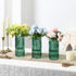 Set 3, 8 Inches Green Glass Vases, Flower Vases of Ribbed Glass Vase for Tulips, Tall Cylinder Glass Vases for Living