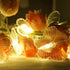20Ft 120LED 24 8 Curtain Butterfly String Light Window USB Fairy Lights Butterfly Modes with Remote Control for Room