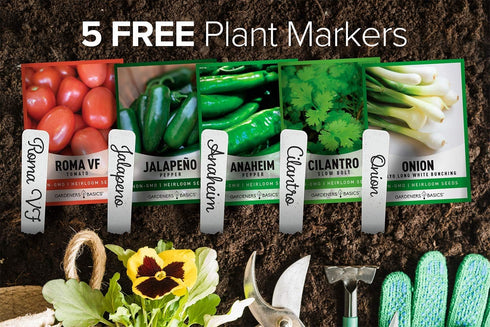 Packets, 5 Gardeners Basics, Heirloom Salsa Growing Seed Roma VF Tomato, Jalapeno, Cilantro, Anaheim and Onion Seeds