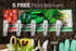 Packets, 5 Gardeners Basics, Heirloom Salsa Growing Seed Roma VF Tomato, Jalapeno, Cilantro, Anaheim and Onion Seeds