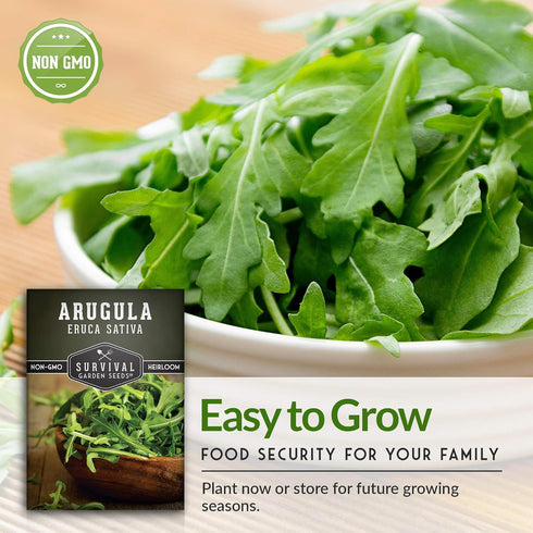 5 Packs Survival Garden Seeds - Arugula Seeds for Planting - with Instructions to Grow Garden Rocket Green Leafy