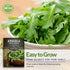 5 Packs Survival Garden Seeds - Arugula Seeds for Planting - with Instructions to Grow Garden Rocket Green Leafy