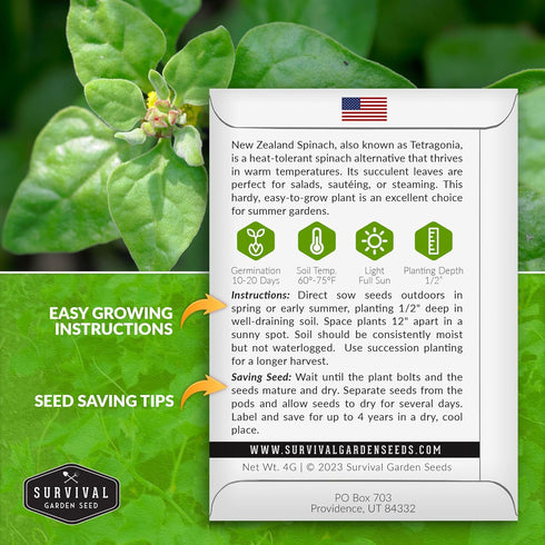 Summer (1 Pack) New Zealand Spinach Seeds for Planting | Heat Tolerant Green (Tetragonia), Cut-and-Come-Again Greens