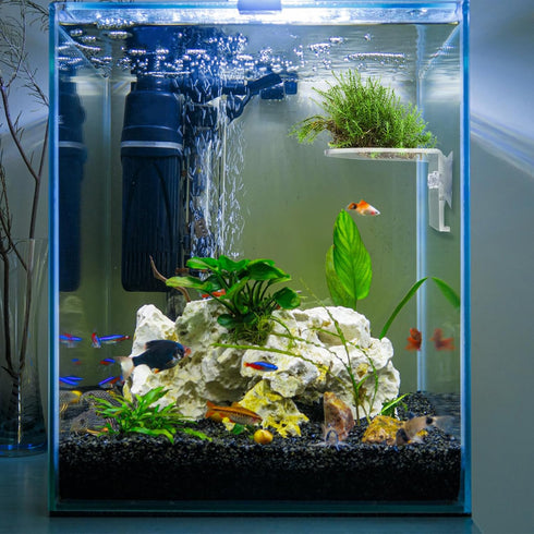 4 Pack Suwimut Window Plant Floating Shelf, Suction Cup Shelf for Fish Tank, Acrylic Ledge Plants Holder Window Sill