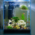 4 Pack Suwimut Window Plant Floating Shelf, Suction Cup Shelf for Fish Tank, Acrylic Ledge Plants Holder Window Sill