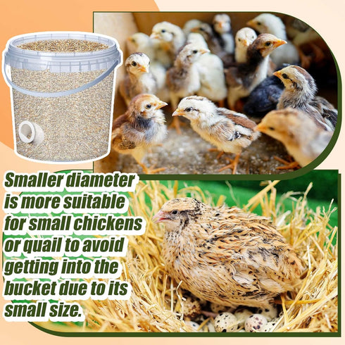 40 Pack (1.5 Inch,White) Teenyyou Quail Feeders No Waste Chicken Feeder Port DIY Chick Feed Saver Quail Supplies