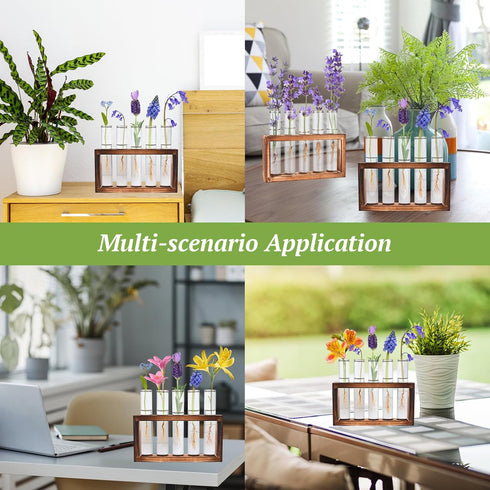 Tigvio 2pcs 10 (10 Desktop Glass Plant Propagation Station with Test Tubes in Wooden Stand - Hydroponic Plants Cutting