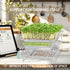 2-Tier 14 inch Sprouts Growing Rack Shelf, Metal Foldable Plant Stand for Sprouting Tray Indoor, Seed Starting Tray