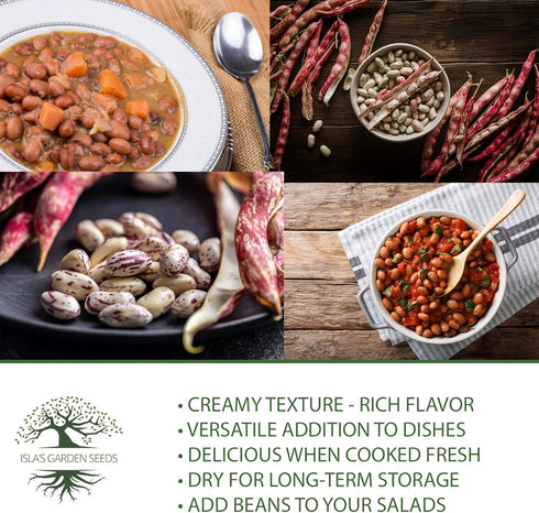 25+ 85% Taylor Dwarf Horticulture Bush Bean Seeds (Phaseolus vulgaris) Non-GMO Heirloom Cranberry Bean Seeds