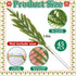 Watayo 60 14" Pcs Christmas Norfolk Pine Branches with Red Berry Stems, Artificial Greenery Norfolk Pine Stems Sprigs