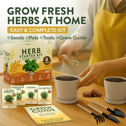 4 HOME GROWN Herb Garden Planter Indoor Kit Unique Christmas Gift for Adults, Men, & Women - Grow Heirloom Herb Seeds