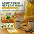 4 HOME GROWN Herb Garden Planter Indoor Kit Unique Christmas Gift for Adults, Men, & Women - Grow Heirloom Herb Seeds
