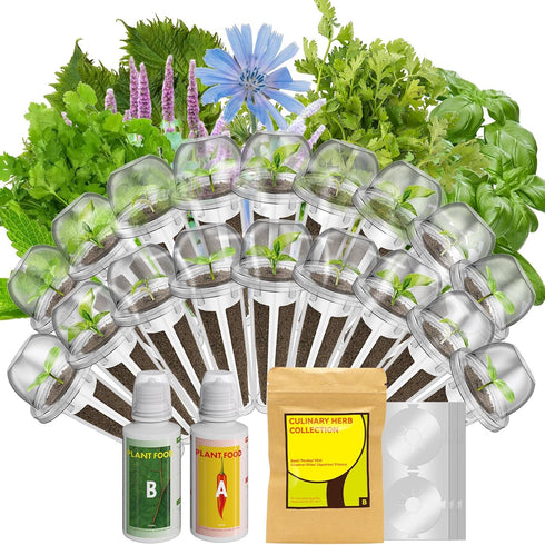inbloom 18-Pod Herb Seed Pod Kit Compatible with AeroGarden, Ahopegarden, Gardencube Hydroponic