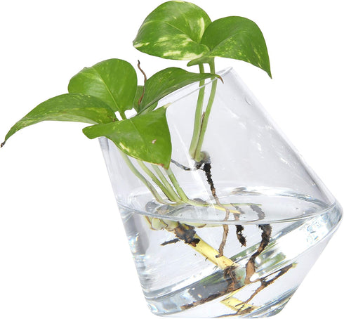 Bloomingville Clear Glass Decorative Vase with Angled Base