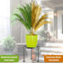 Garden Gifts Plant Lovers Gifts Black Metal Plant Stand with Anti-Slip Base Rustproof Heavy Duty Decorative Round
