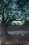 Trends International Conjuring-Landscape Wall Poster, 22.375" x 34", Premium Unframed Version