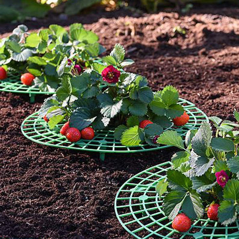 Medoore 5 Pack Strawberry Supports, Adjustable Strawberry Growing Racks Plant Climbing Rack Vine Pillar Garden Stand