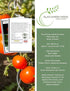 300+ Packet, Floradade Tomato Seeds for Planting, Heirloom Seeds Per (Isla's Garden Seeds), Non GMO Seeds, Botanical