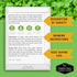 (2 Packs) Southern Giant Mustard Green Seeds for Planting Heirloom Non-GMO Spicy Greens, Heat Tolerant and Slow to Bolt