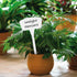 Yuanling Plant Labels, 60 Pack Large Plastic T-type Waterproof Garden Markers with Marker Pen