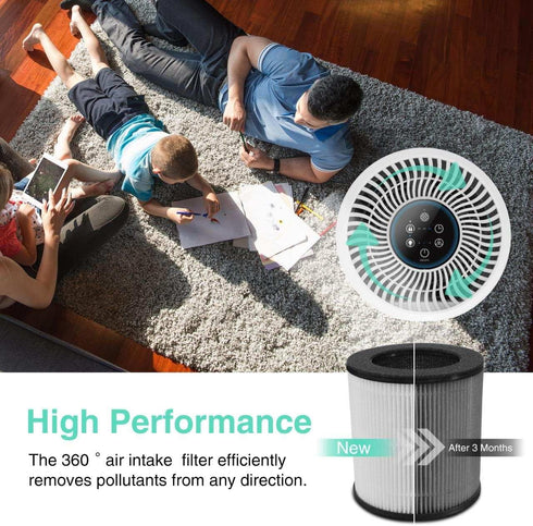 Air Purifier Replacement Filter for D09 Air Cleaner, 3-in-1 True H13 HEPA Filter, 1 Pack