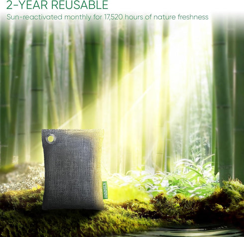 Activated Charcoal Odor Absorber, Large 10 Pack with Hooks, Bamboo Charcoal Air Purifying Bags for Home, Car, Closet