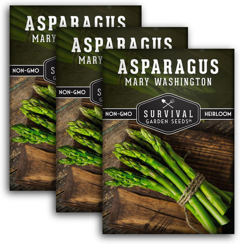 Mary Washington Asparagus Seeds for Planting - Non-GMO Heirloom with Instructions to