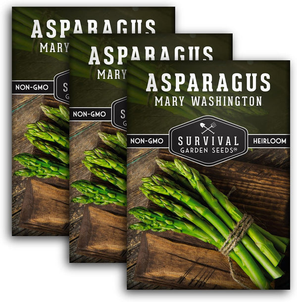 Mary Washington Asparagus Seeds for Planting - Non-GMO Heirloom with Instructions to