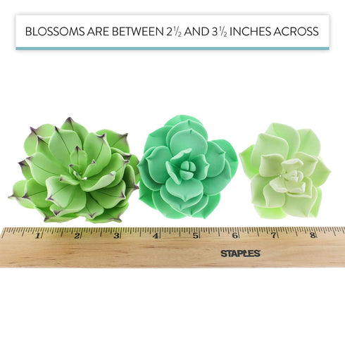 Set 3 Global Sugar Art Succulents Sugar Cake Flowers, of by Chef Alan Tetreault