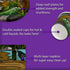 Reptile Lizard Snake Birthday Party Supplies Set, Plates, Napkins, Cups Tableware Kit for 16