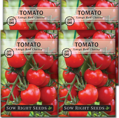 Sow Right Seeds - Large Red Cherry Tomato Seeds for Planting -