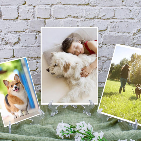 25 Pack Acrylic Easel Stand, 3 Inch Clear Plastic Mini Plate Holders for Photos, Sports Cards, Coins