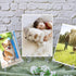 25 Pack Acrylic Easel Stand, 3 Inch Clear Plastic Mini Plate Holders for Photos, Sports Cards, Coins