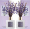 Cocorrna Premium Reed Diffuser Set with Preserved Baby's Breath & Cotton Stick