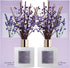 Cocorrna Premium Reed Diffuser Set with Preserved Baby's Breath & Cotton Stick