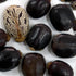 Packet 10 Palm Beach Medicinal Herbs - Red Giant Castor Bean - of Seeds