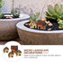 WINOMO 4PCS Miniature Gardening Landscape Micro Village Stone Houses Thumbnail House Thatched Huts DIY Bonsai Terrarium Crafts Desk Ornaments Accessories for Fairy Garden Decoration