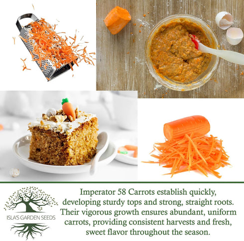 58 500+ Imperator Carrot Seeds (Daucus carota) Non-GMO & Heirloom Seeds, Long and Sweet Carrots for Juicing, Fresh