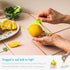 Dreamfarm Savel Flexible Food Safe - Adjustable Fruit & Vegetable Saver & Storage Cover, Clear/Green