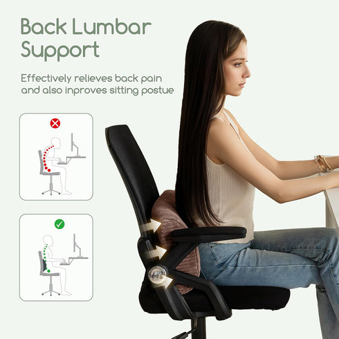 HIGOGOGO Lumbar Support Pillow for Recliner Chair/Accent Chair/Couch, Memory Foam Back Support Cushion for Elderly