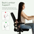 HIGOGOGO Lumbar Support Pillow for Recliner Chair/Accent Chair/Couch, Memory Foam Back Support Cushion for Elderly