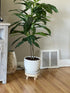 2Pcs 8inch Small Wooden Stools for Plants, Wood Stool Plant Stand, Solid Wood Garden Plant Pot Riser, Mini Round Flower