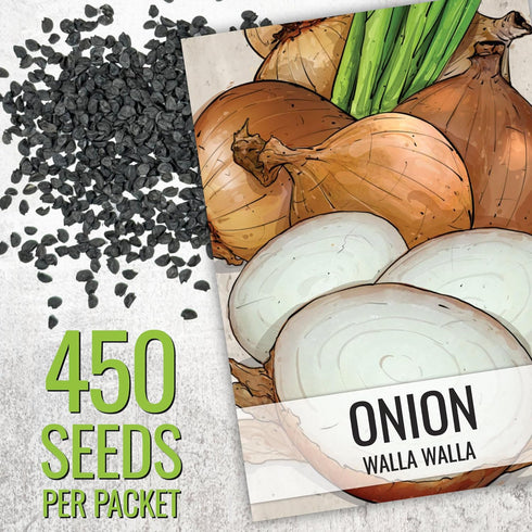(5 Packs) Seed Needs Onion Seeds for Planting Walla Walla Long Day Onions - Non-GMO Heirloom & Untreated Vegetable