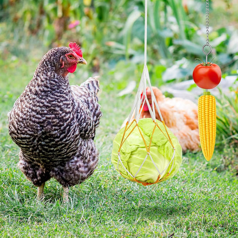 Gejoy 6 Pieces Chicken Toys for Coop Accessries Wooden Stand Mirror with Bells Coop Swing Veggies Fruit Skewer