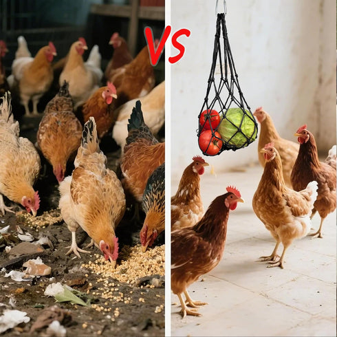 DMIMIA 4Pcs, Chicken Vegetable Fruit Hanging Feeder Reusable String Bag with Hook for Chicken Coop Toys, Poultry