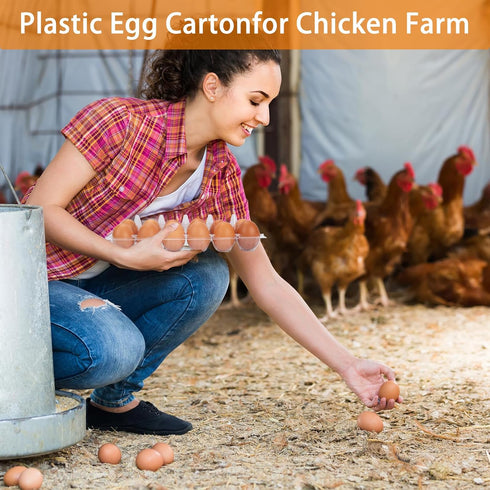 120 Pack 12 Count Dozen Commercial 2x6 Egg Cartons Cheap Bulk Egg Containers for Chicken Eggs, One Empty Egg Cartons