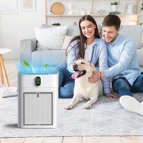 CHIVALZ 4 Pack HY4866 True HEPA Replacement Filters for MORENTO and WESTHEY HY4866 Air Purifiers