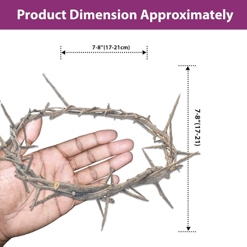 ZULUF Crown of Thorns Ornament, 7.5" from Bethlehem Jerusalem, Gift Boxed