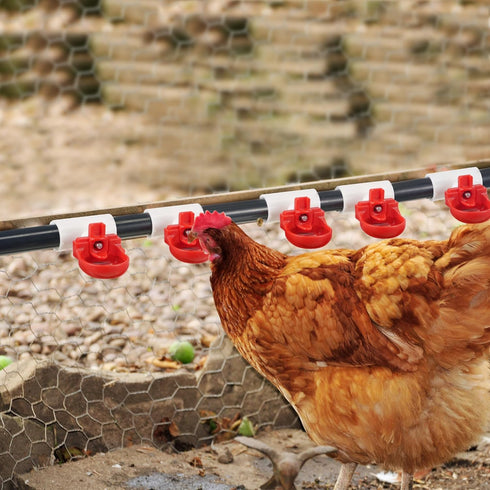 8 Pack Set 1/2'' Dreyoo Automatic Chicken Waterer, Complete with PVC Tee Fittings, Float Valve Controlled Automatic