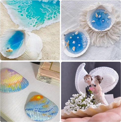 25pcs White Scallop Shells, 2-3 Inches Natural Seashells for DIY Crafts, Home Decor, Baking Shells